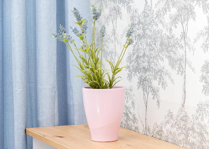 Stylish Rajska With Free Parking In Downtown By Renters Apartament Gdańsk