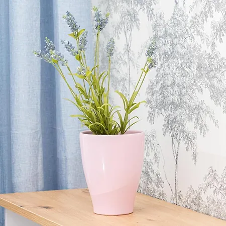 Stylish Rajska With Free Parking In Downtown By Renters Lejlighed Gdańsk